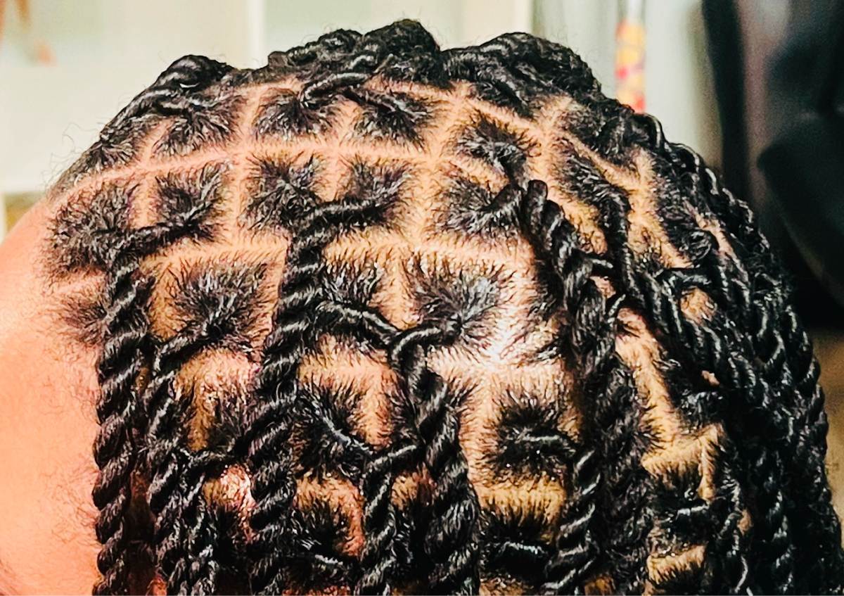 2 Strand Twist / Invisible Locs