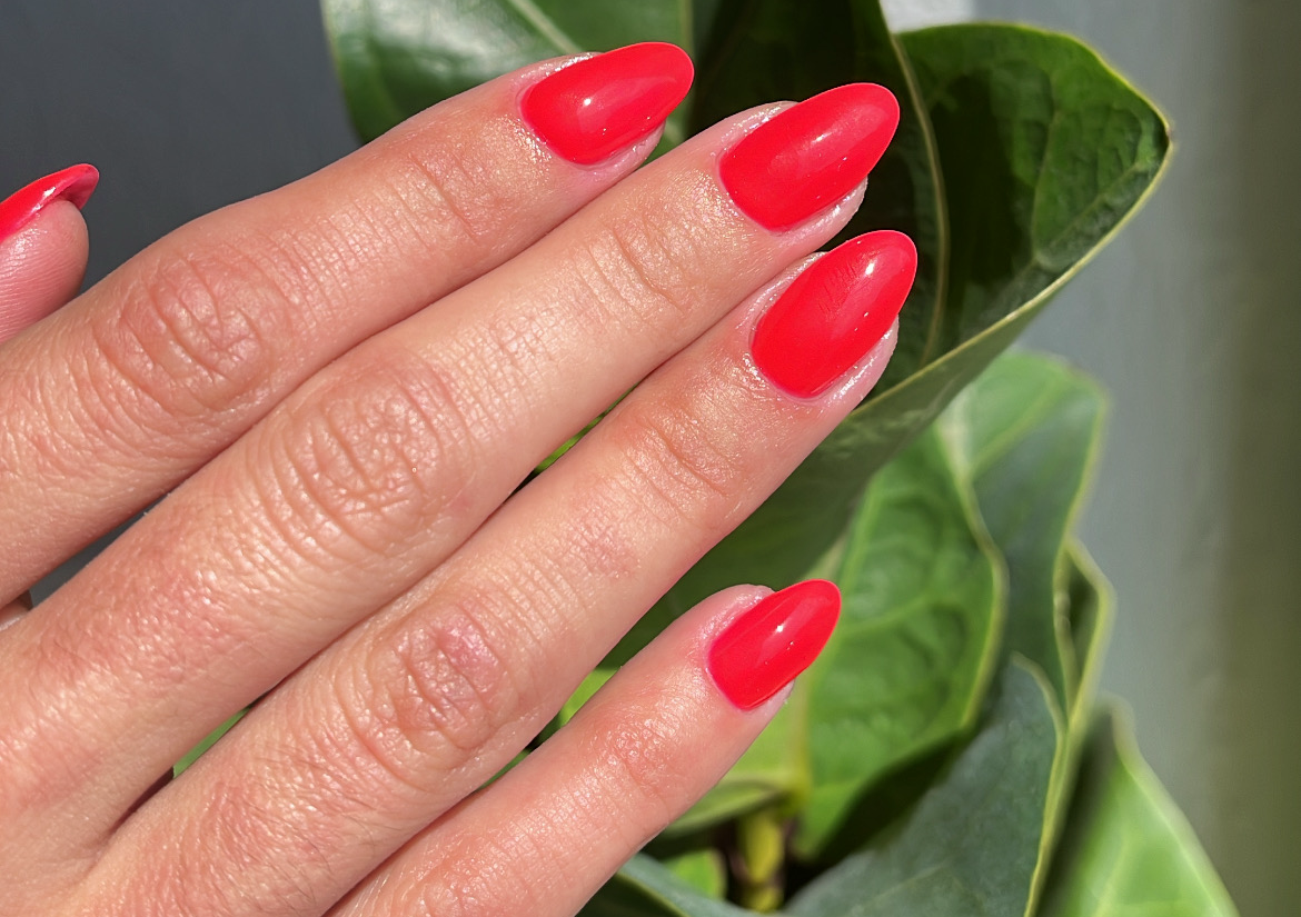 Builder gel + Esmalte en gel (Manos)