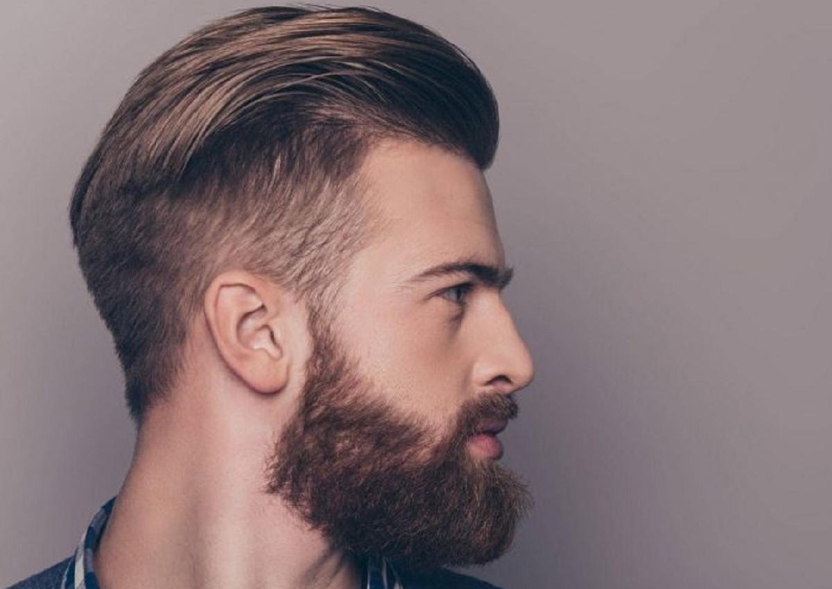 Regular hair cut + beard