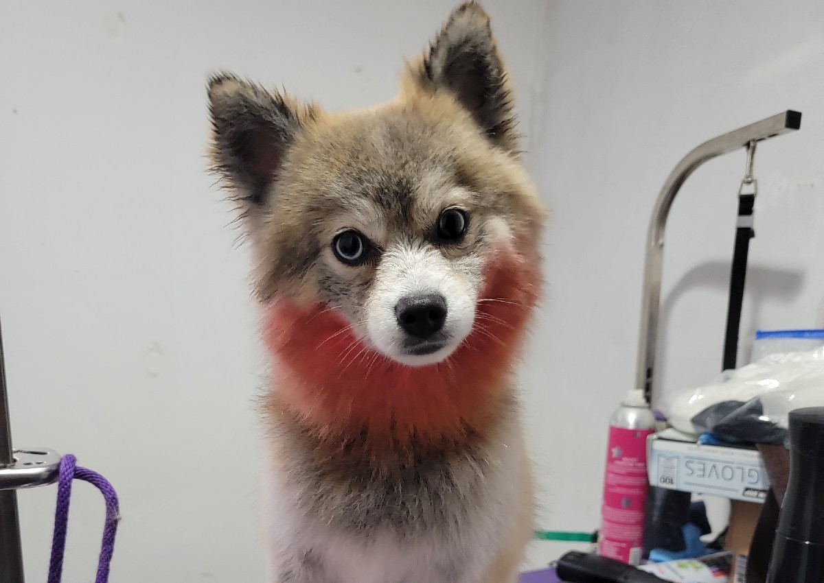 Custom color one set