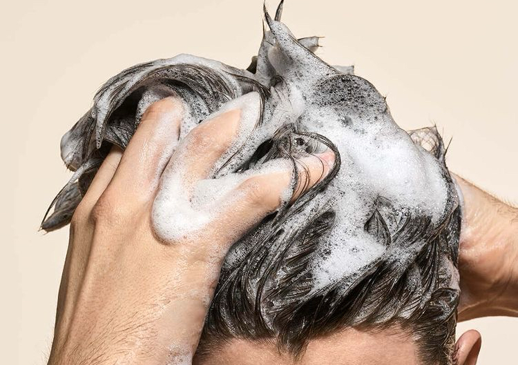 Vino terapia caballero 