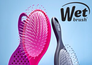 Wet brush hair brush