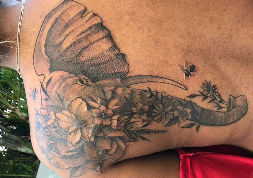 Spine/ back