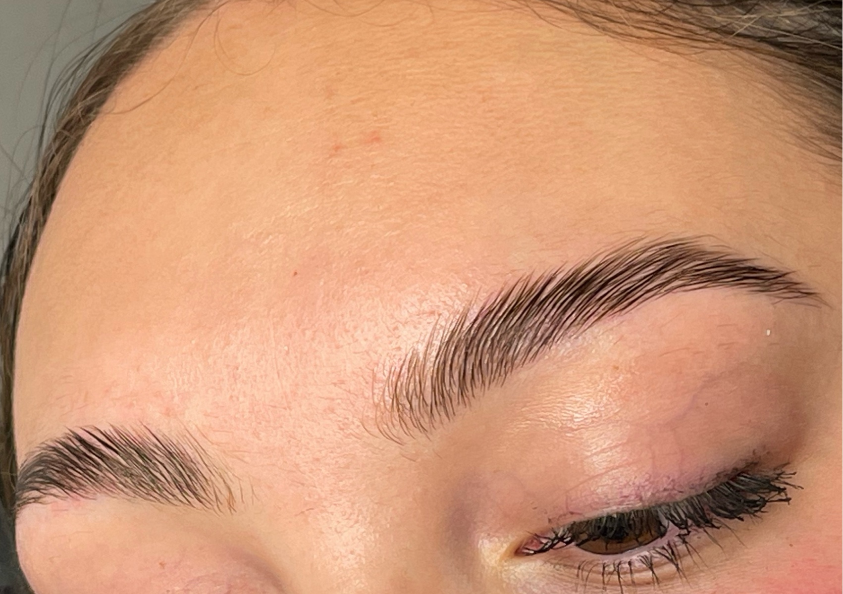 Eyebrow Lamination