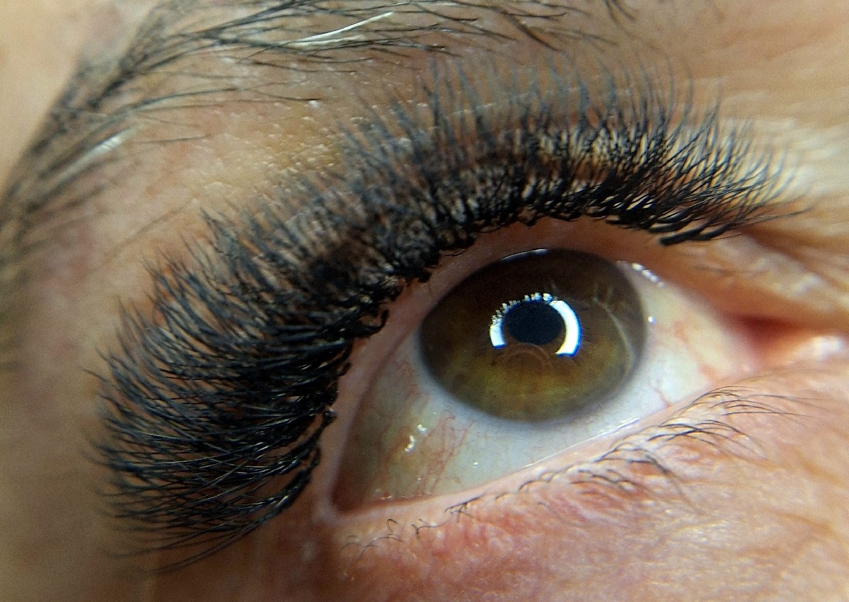 Volumen Tecnológico 6d 