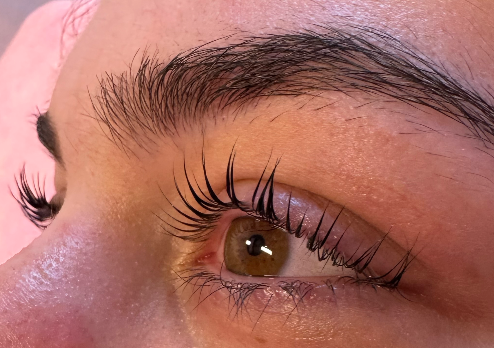 Lash Lift & Tint