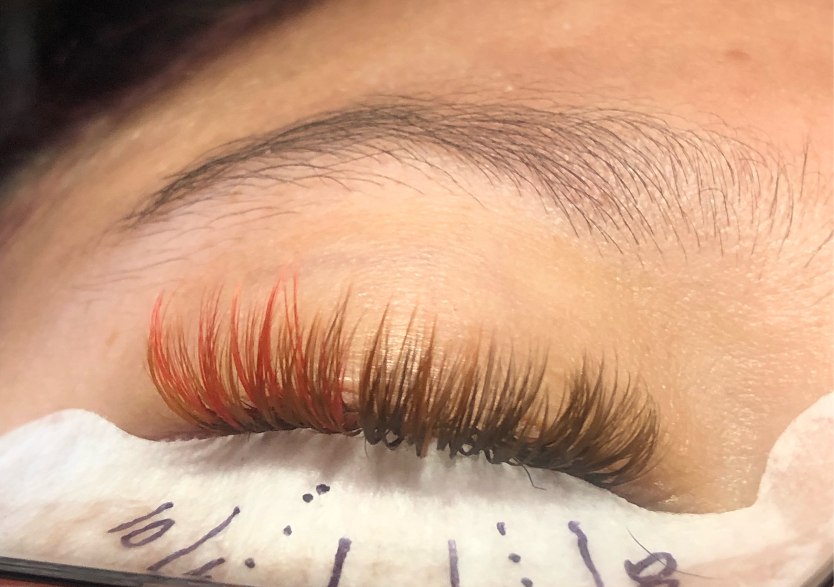 Brown Volume Lashes