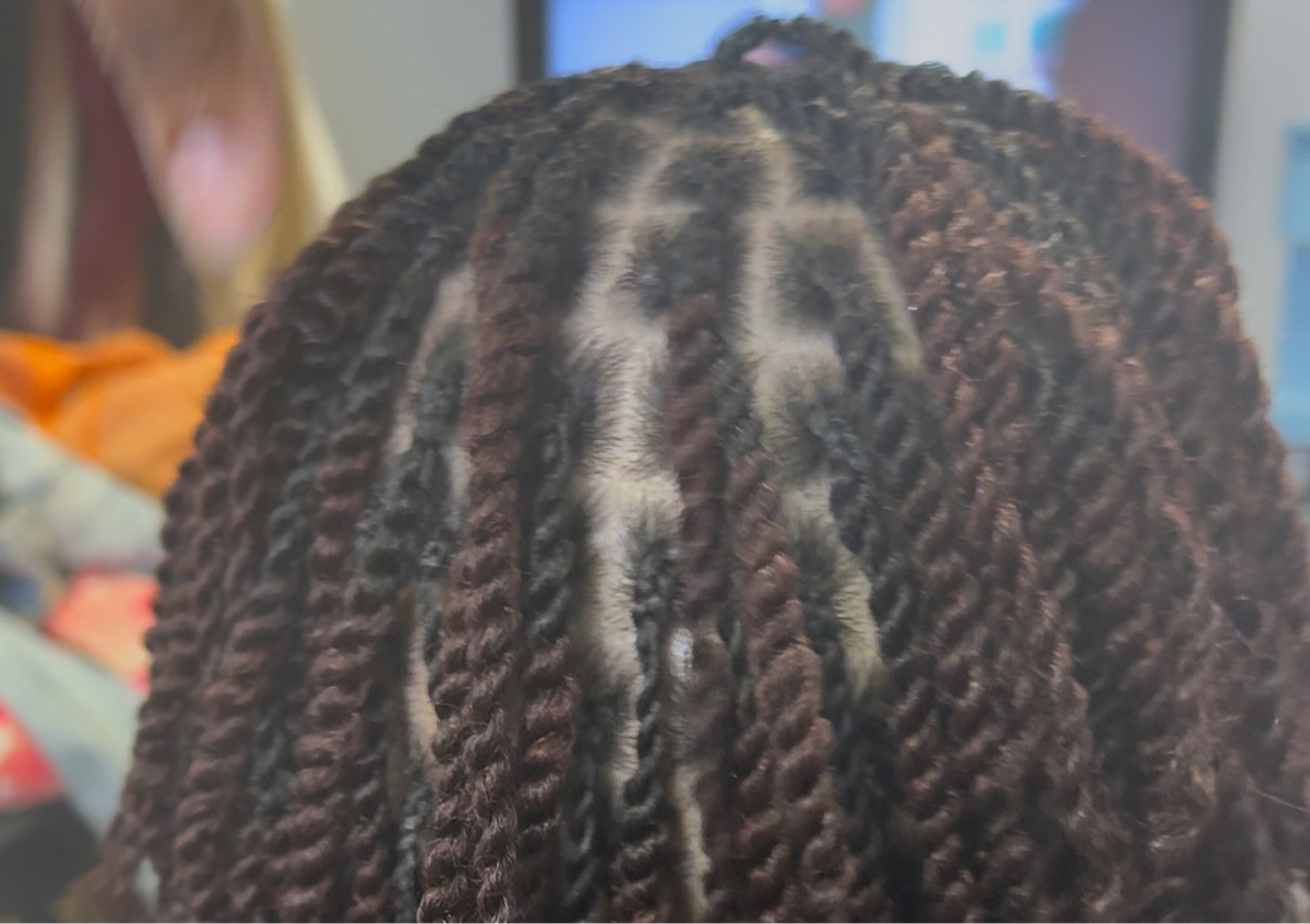 Two Strand Twist Smedium (mini twist) 