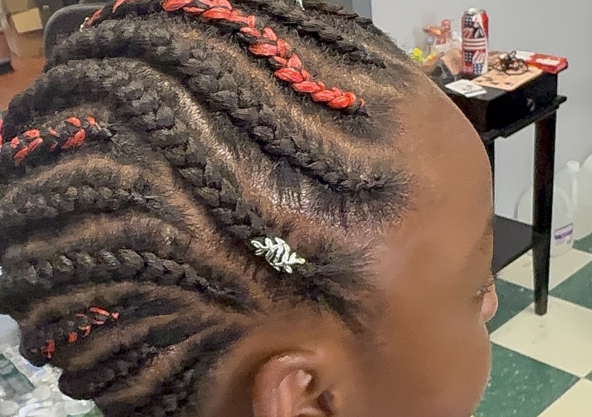 Braids (2/2)