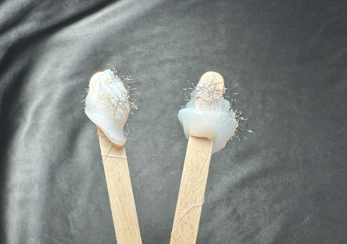Nose hair Waxing