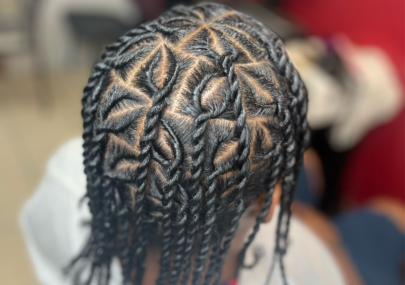 2 strand twist 