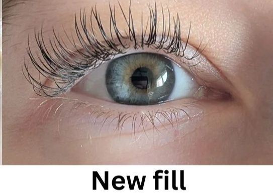 Classic Lashes Fill