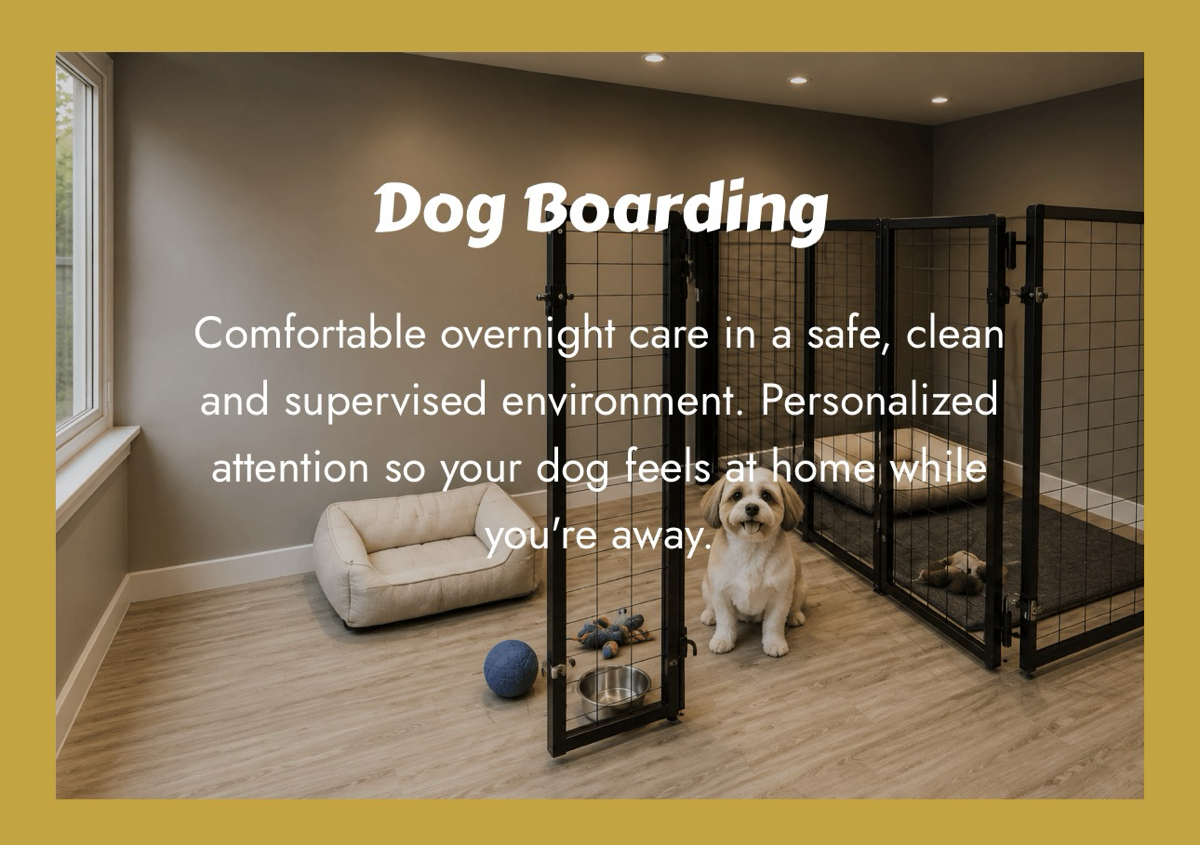 Dog Boarding / Hospedaje Canino Nocturno (4/4)