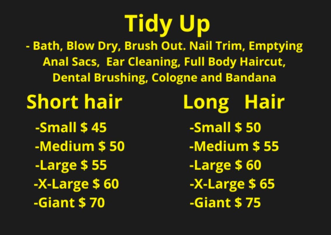 Tidy Up ( Payment for services is on-site, do not try to pay online)   READ POLICIES AND TERMS BEFORE MAKING YOUR APPOINTMENT