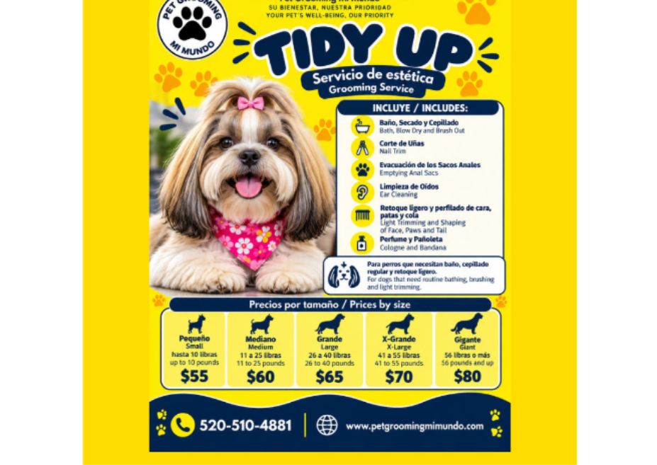 Tidy Up (To confirm your appointment, a $25 deposit is required.