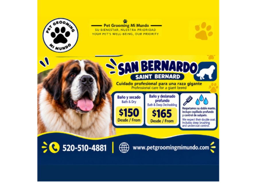 Saint Bernard – Bath & Deshedding (To confirm your appointment, a $25 deposit is required.)