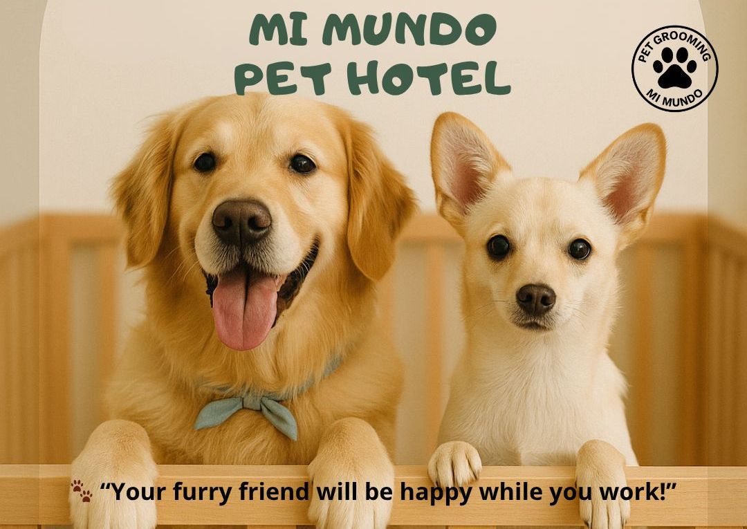 Dog Boarding / Hospedaje Canino Nocturno