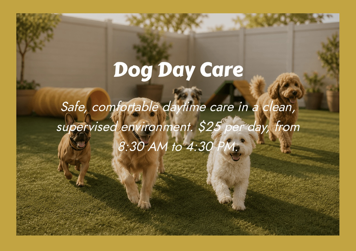 DOG DAY CARE / (2/3)