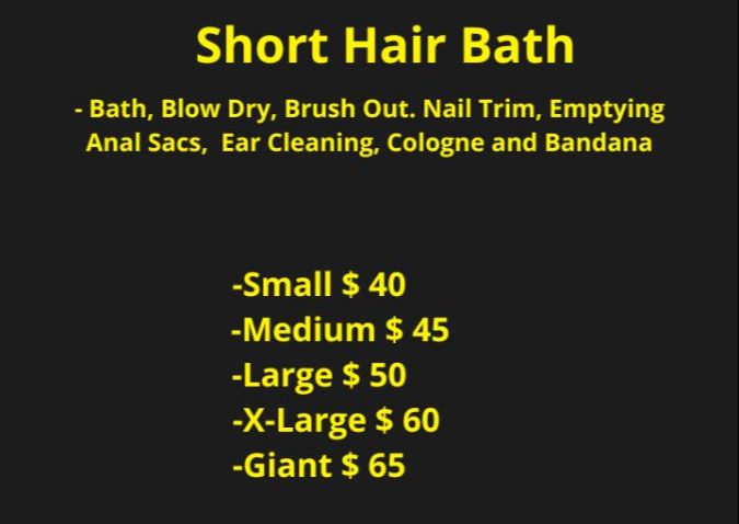 Short Hair Bath ( Payment for services is on-site, do not try to pay online)  READ POLICIES AND TERMS BEFORE MAKING YOUR APPOINT