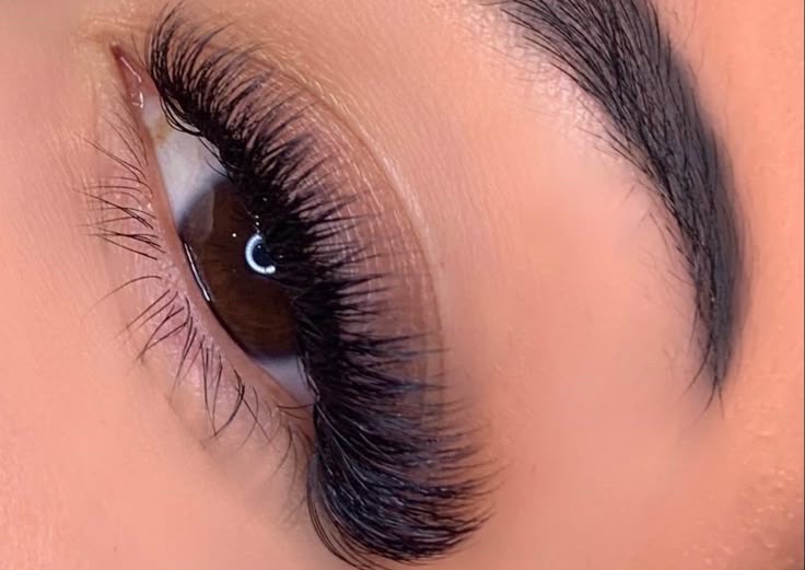 The Vixen Set (Cat Eye Volume/Light Volume)