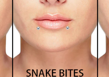 Snake bites 