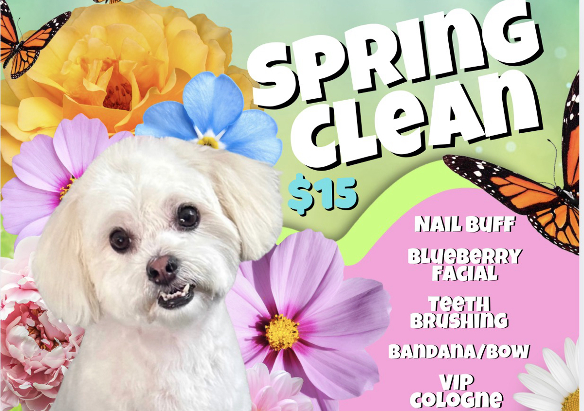 Spring Clean Package ❤️