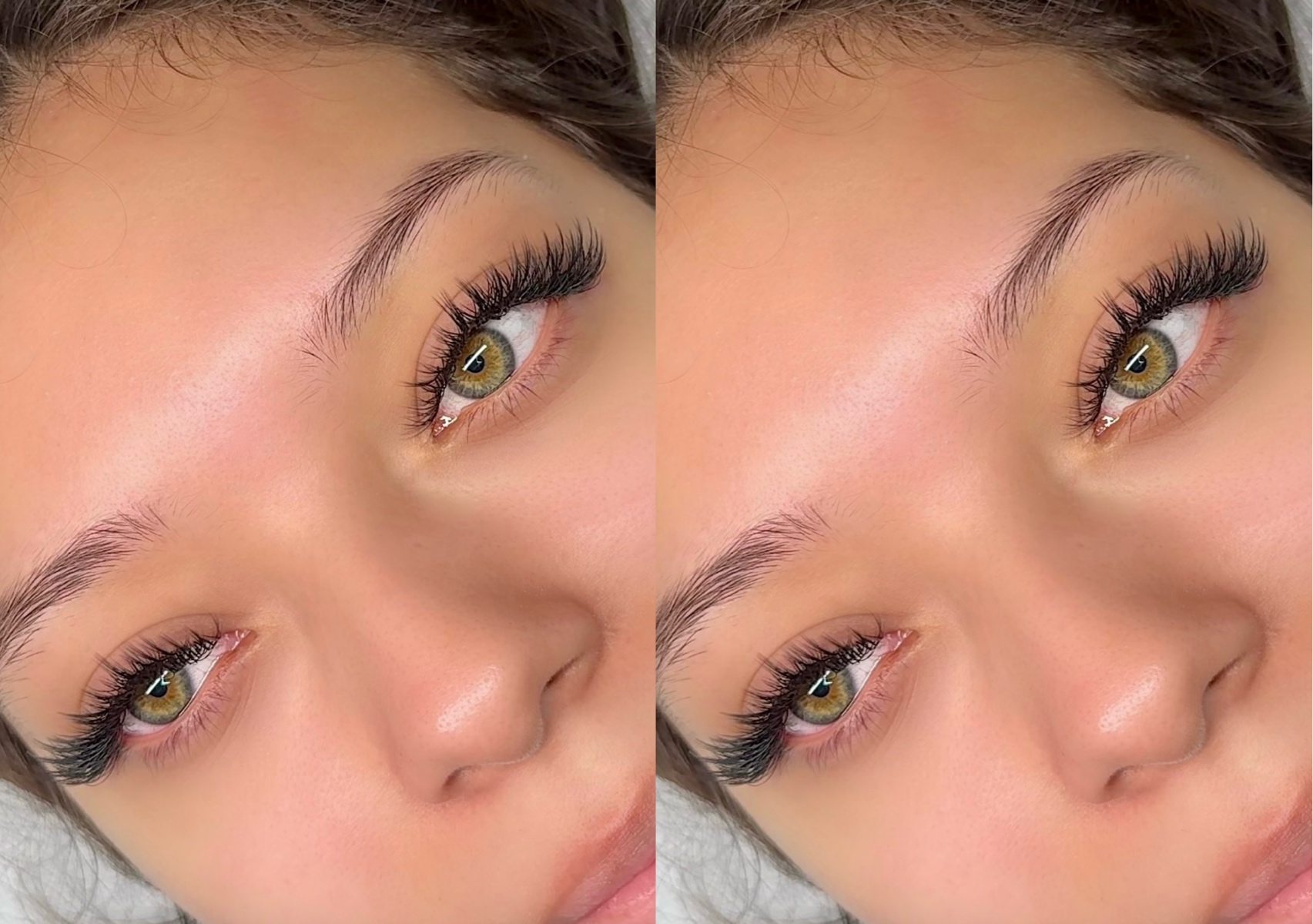 Wispy Hybrid