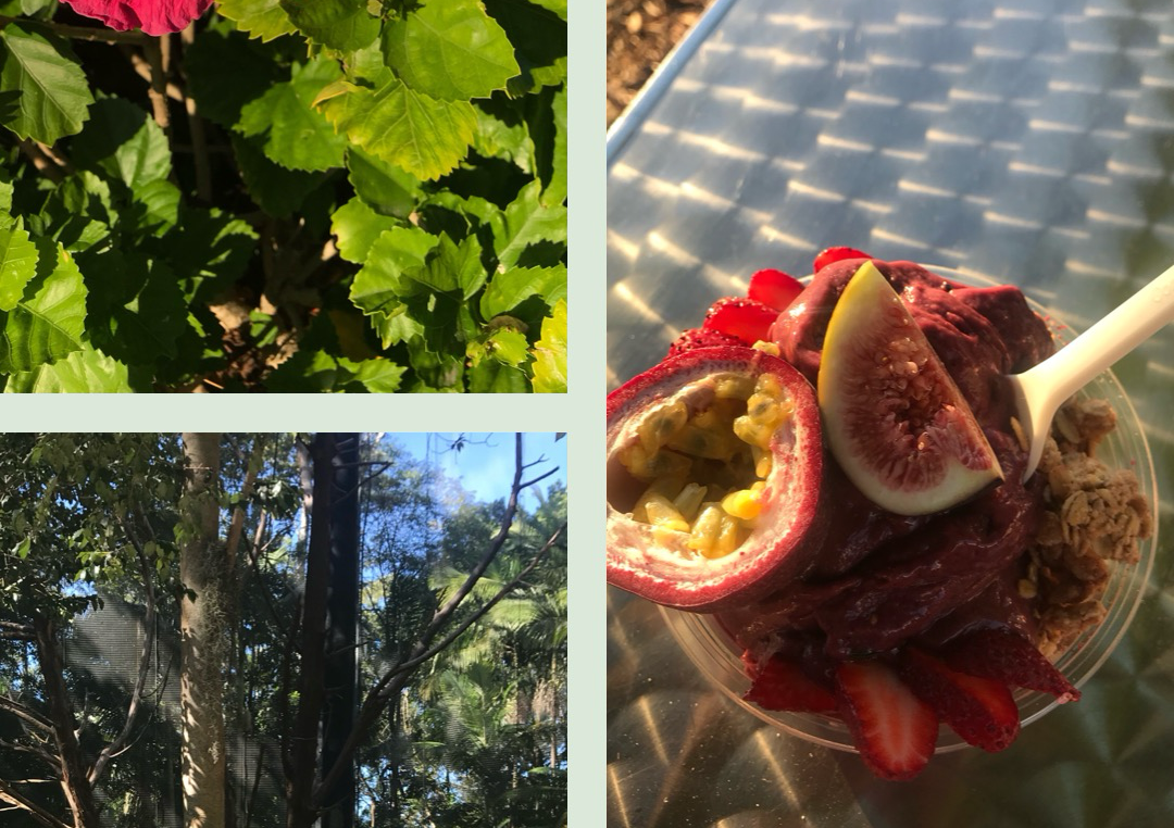 Herbal Tea Cermony  & Herbal Consult 