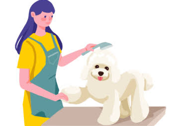 Small groom (5-10kg)