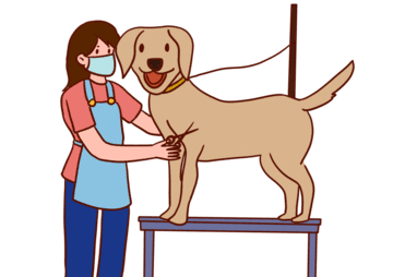 Medium groom (11-30kg)