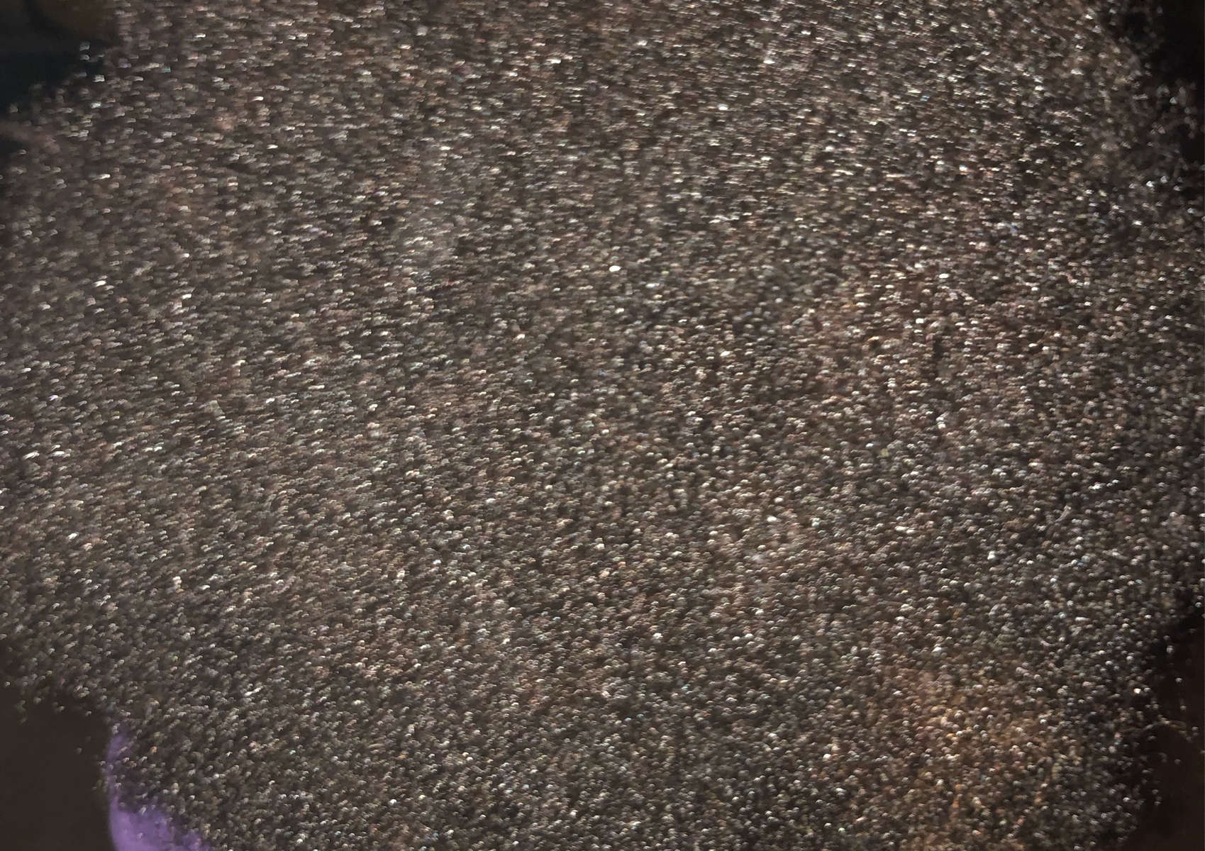 Hair take downs kids