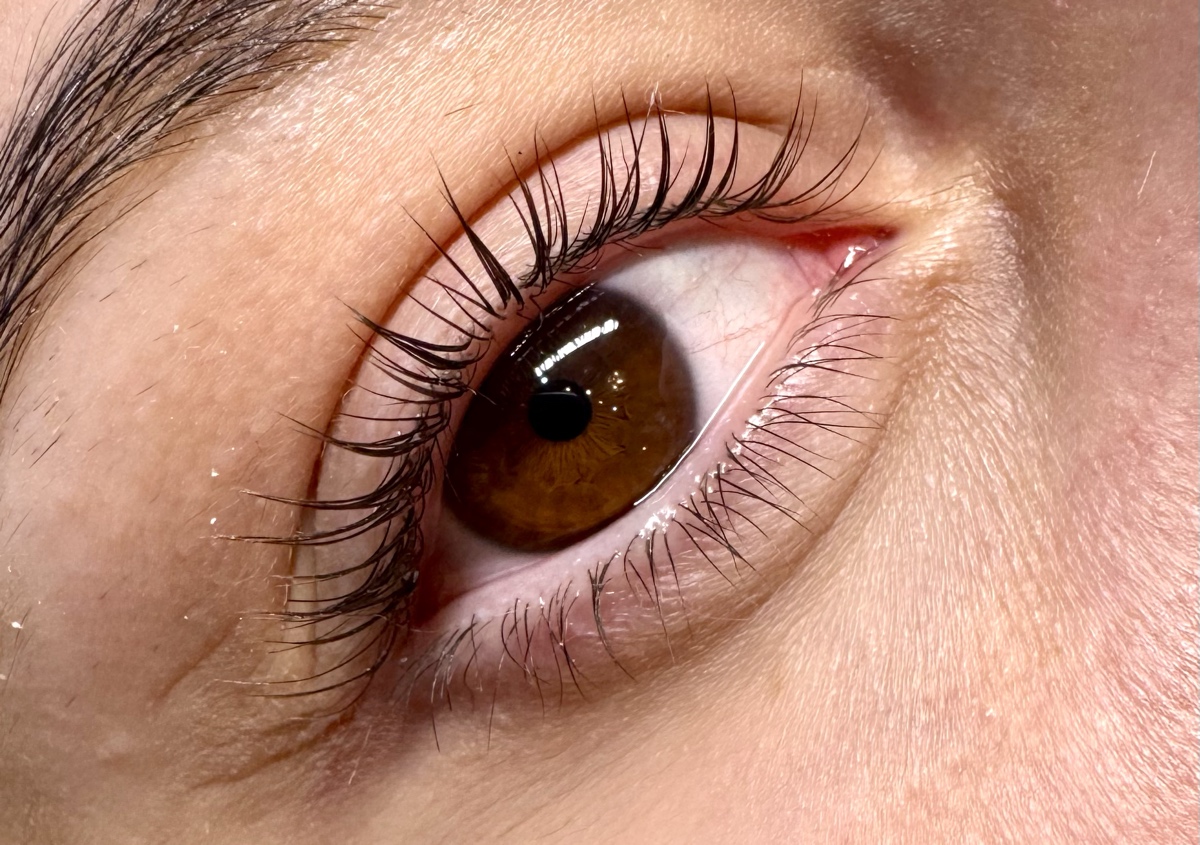 Lash lift only 