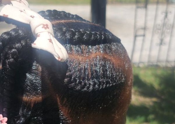 Cornrows (minimum of two braids(wash, treatment, hair included