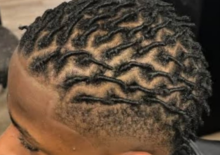 Starter locs on short hair(twists method/comb)