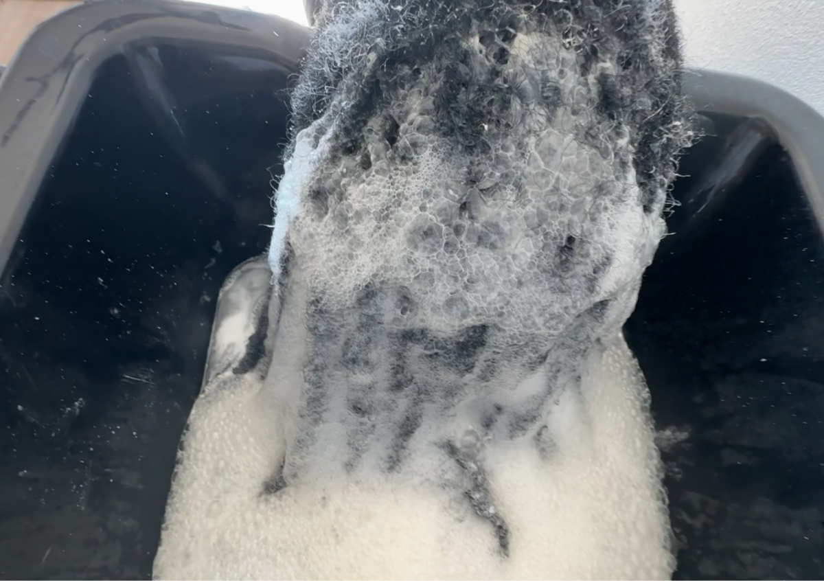 Dread soak Detox (in addition to a retwist)