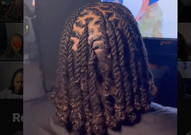 Rope Twist/ 2 Strand Twist (locs)