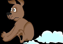 Anal Gland Expression 💨