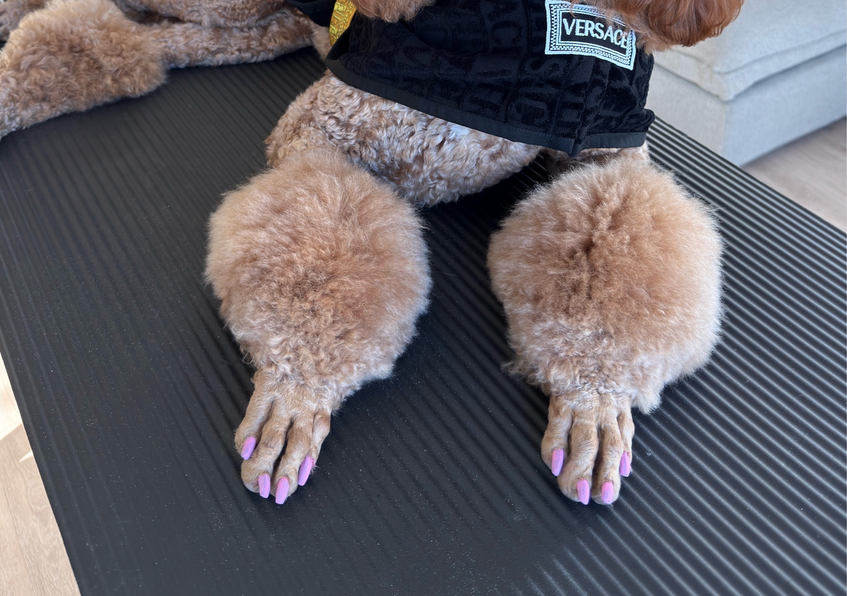 Nail Polish 💅🏿