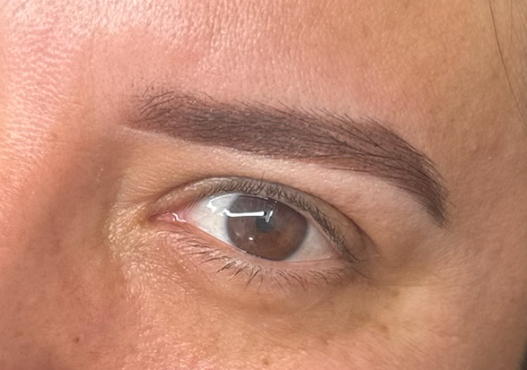 Brow Shaping with  Hybrib Tint