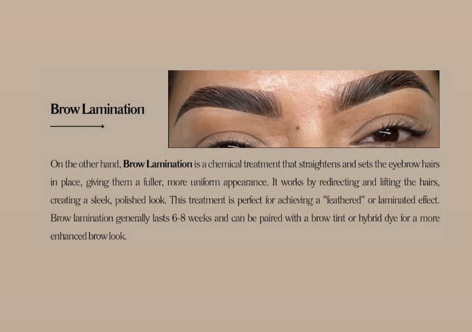 Brow Lamination/Wax/Tint 