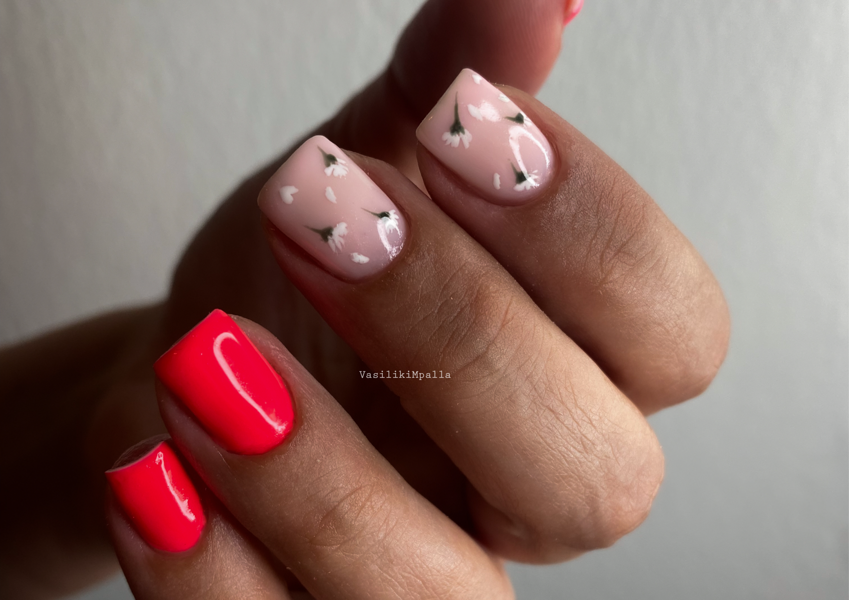 Ημημονιμο Χωρις Αφαίρεση shelac (without remove old colour)