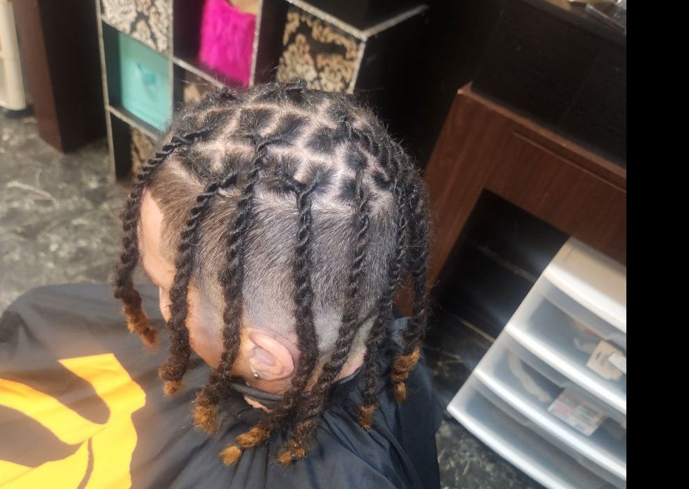 Crochet Locs Traditional Locs 