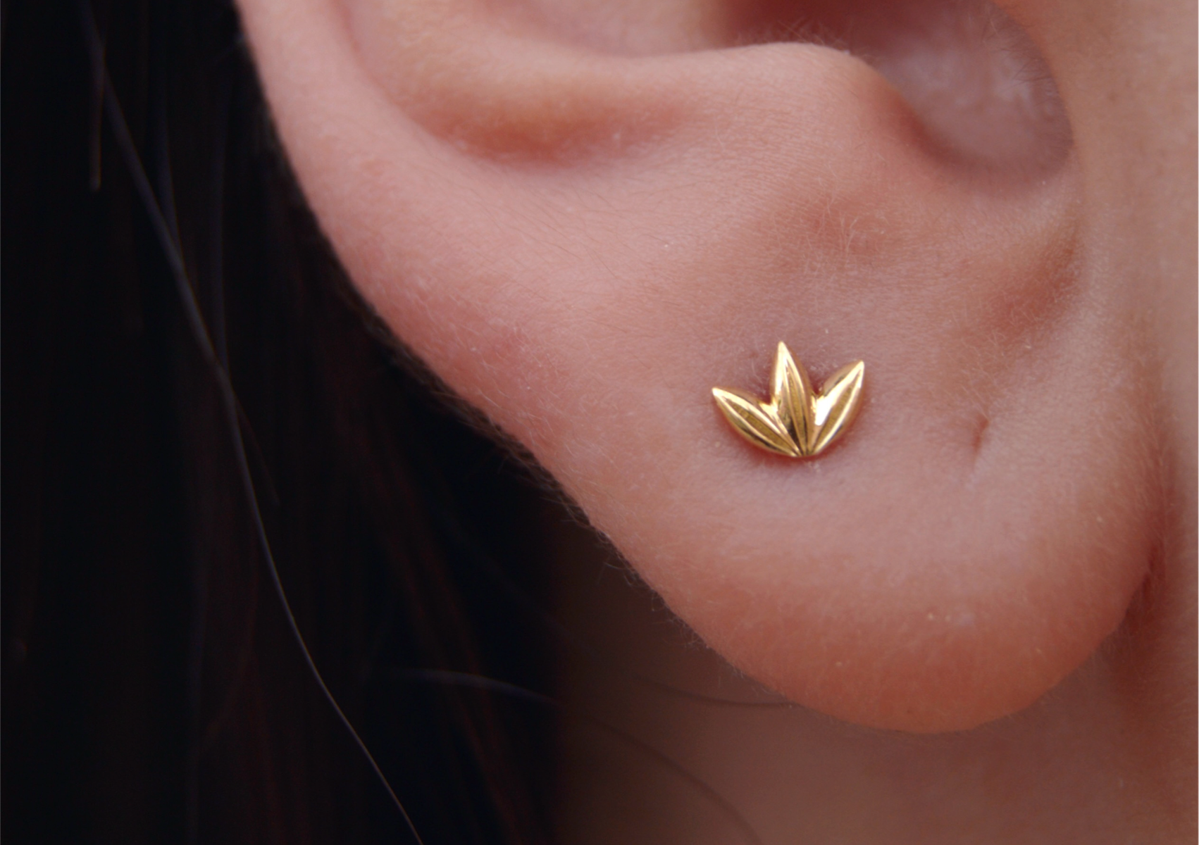 Lobe
