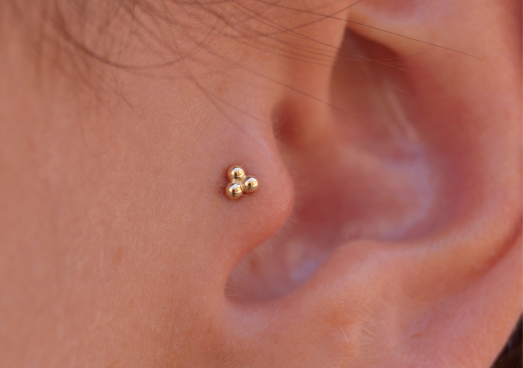 Tragus