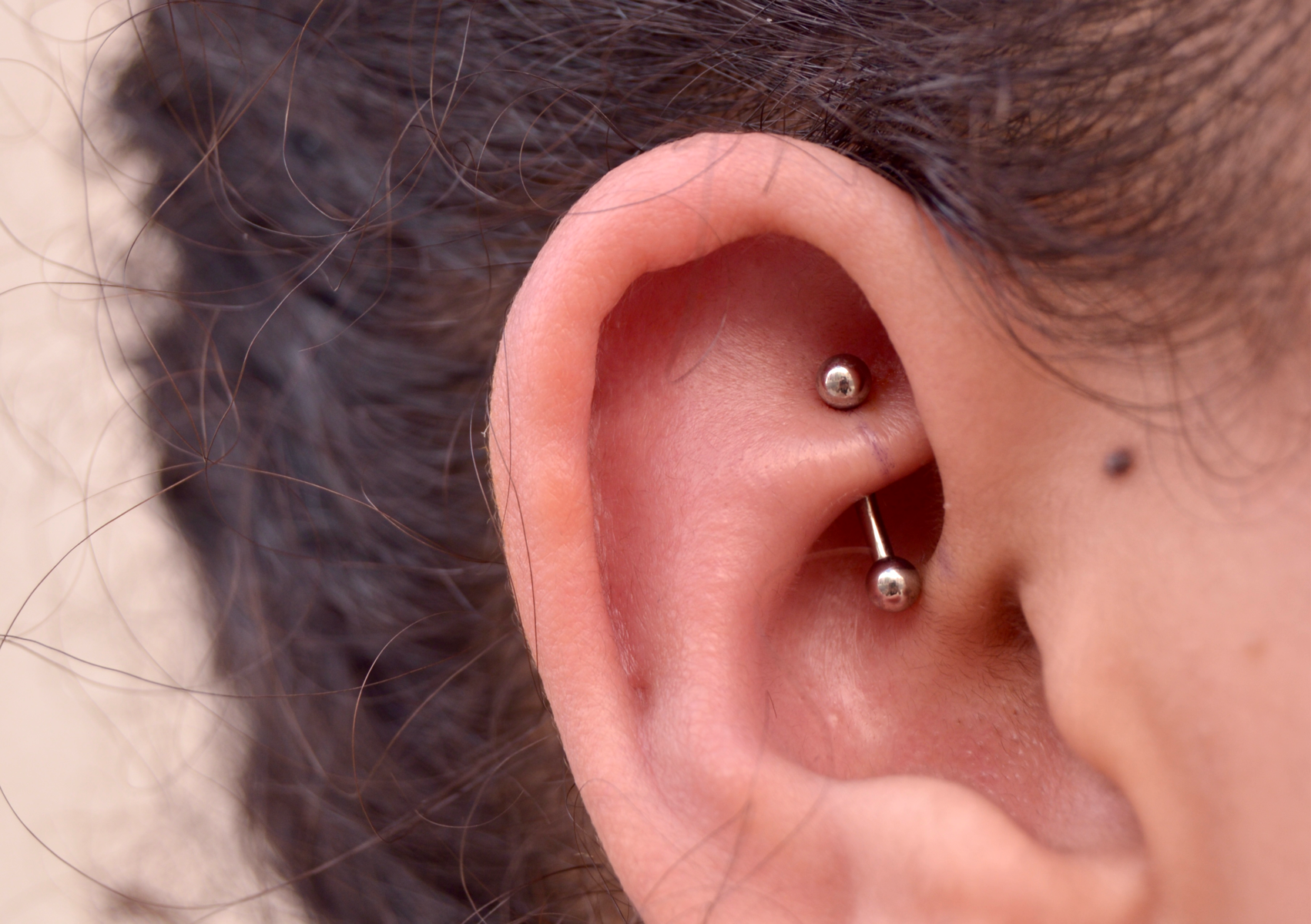 Rook