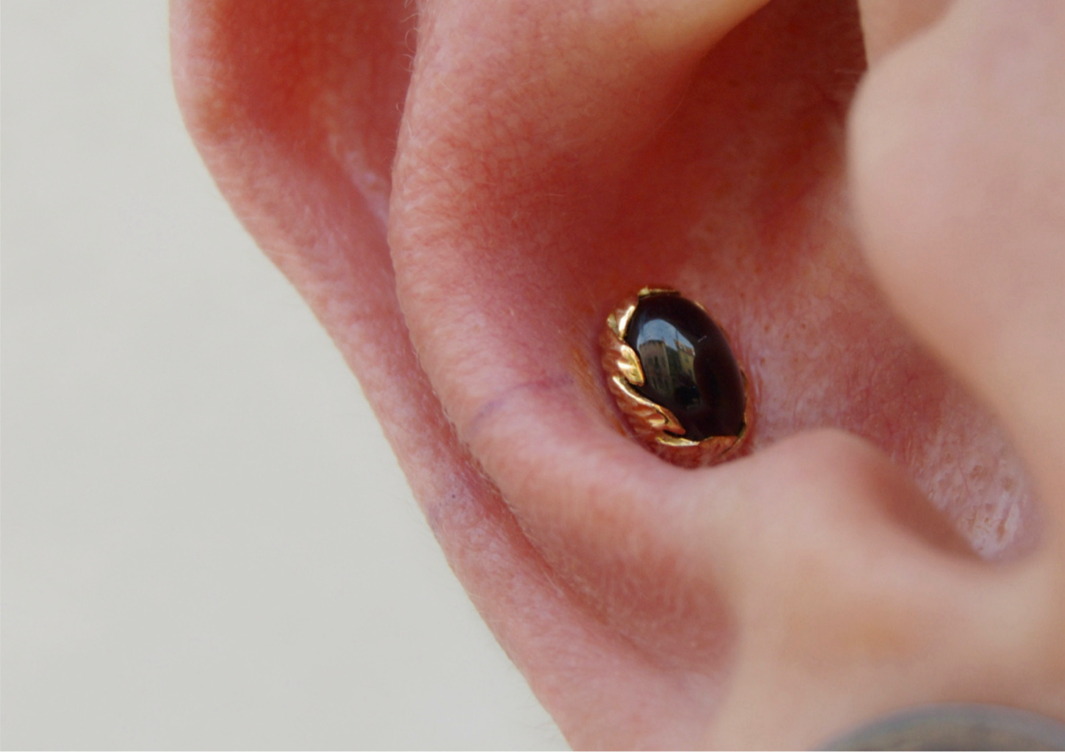 Conch
