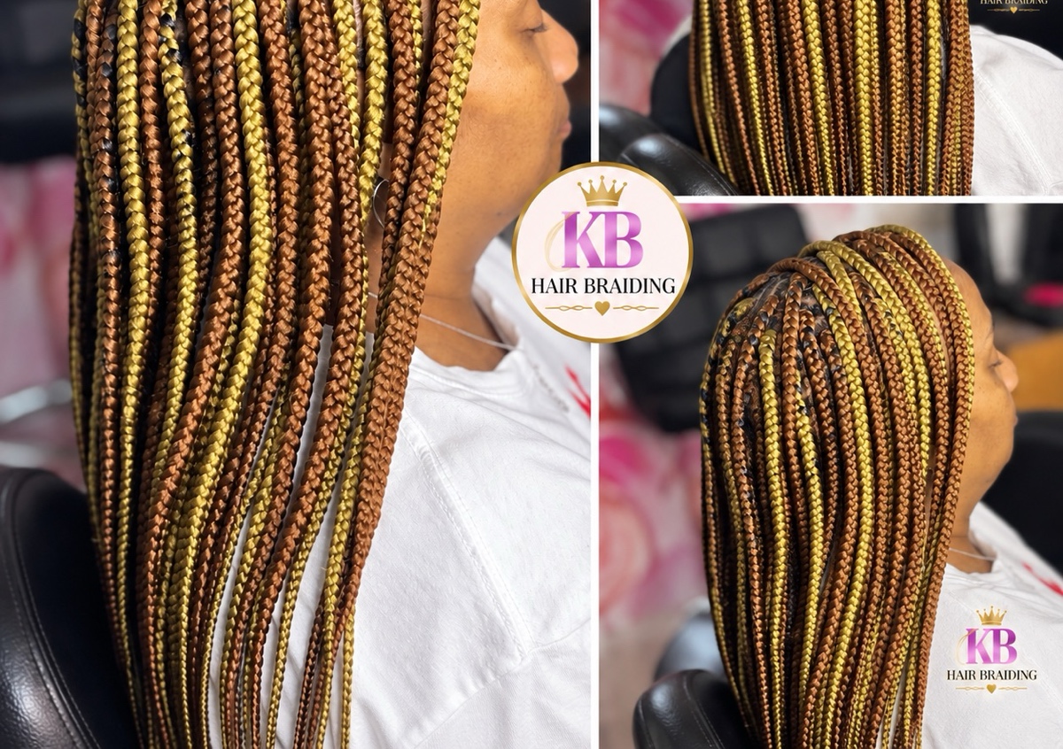 Regular Box braids  (2/2)