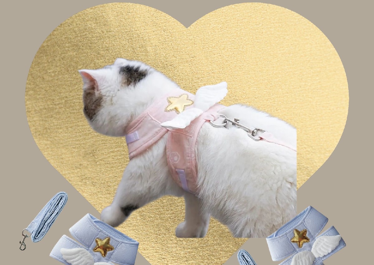 Universal Pup/Kitty Haarness