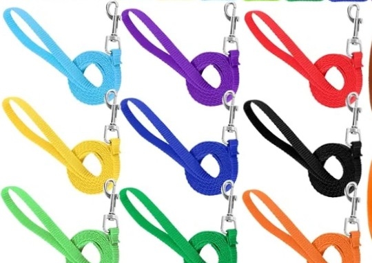 Small dog leashes