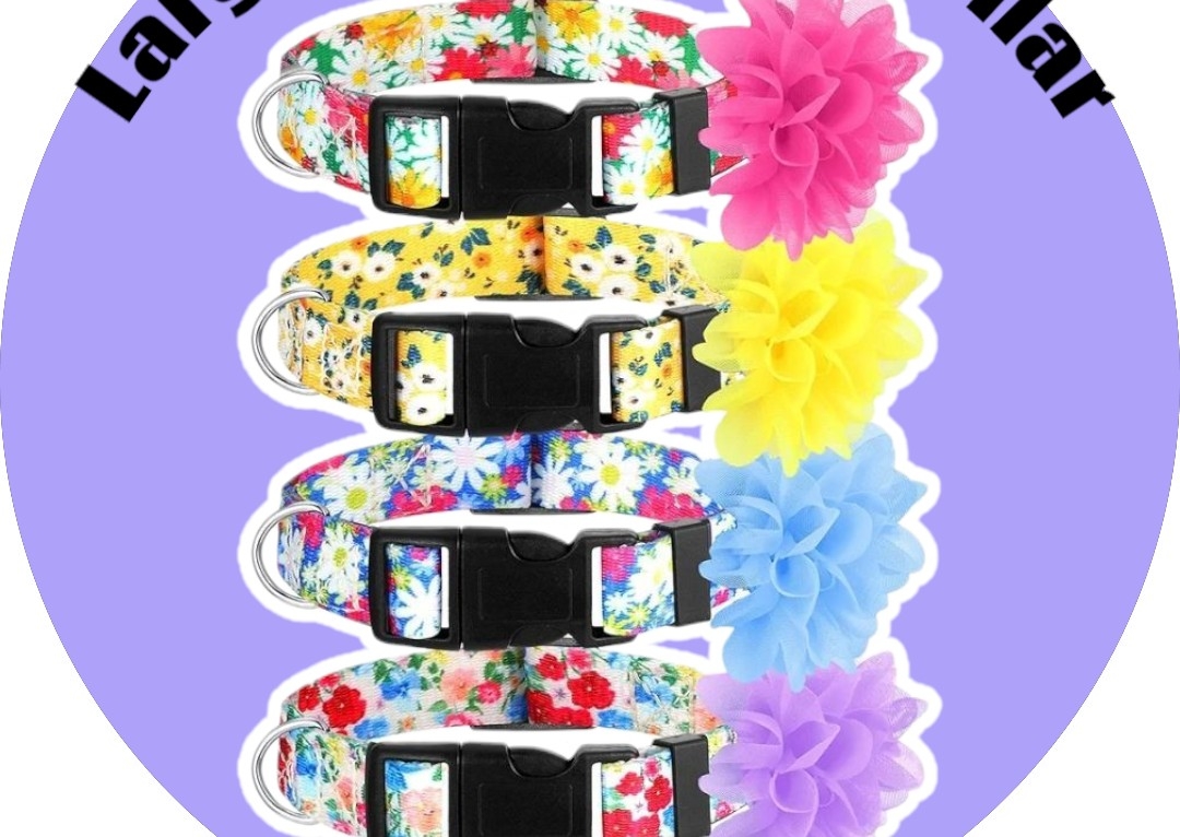 Large Flower collar